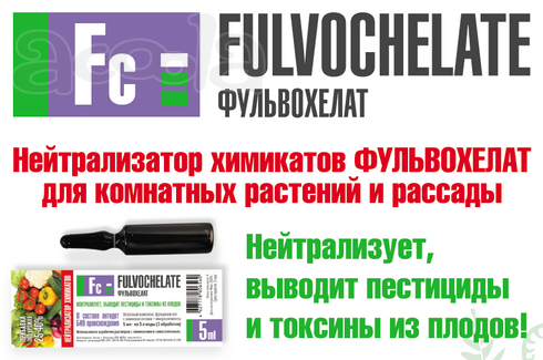 1-ка в ЖК "Дом на Шевякова"