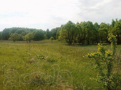 Лесной участок по Ярославскому шоссе