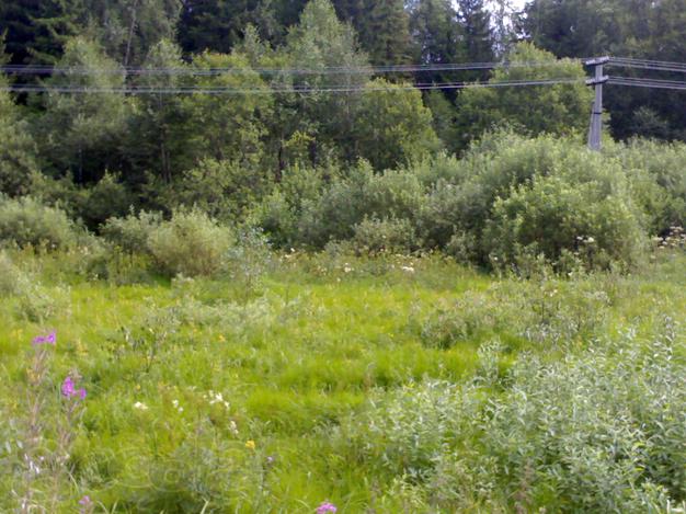 Продаётся срочно земельный участок в лесу, в Рузском районе, Московской области, п. Старая Руза. В 70 км от МКАД (Минское, Можайское, Новорижское шоссе). Площадь участка 9 соток. Подъезд на автомашине возможен круглогодично.