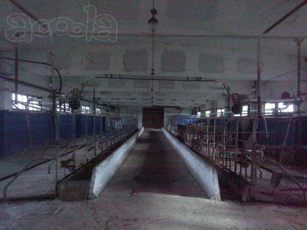 Земля сельхозугодья под фермерское хозяйство в Московской области