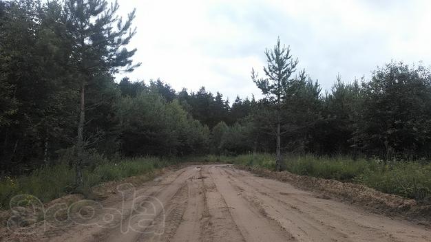 Продаётся участок 8 соток на лесной полянке не далеко от д. Щекавцево