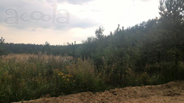 Участок  11 соток на великолепной полянке деревни Щекавцево