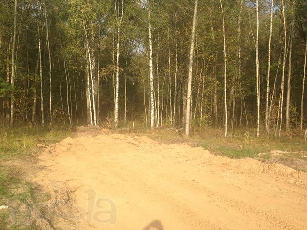 Продам участок 9 соток, всего 28 км от МКАД по Горьковскому шоссе.