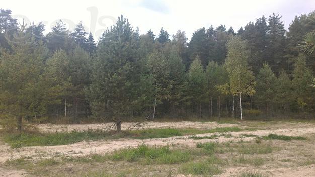 Продаётся участок 10 соток. Это новая нарезка в деревне Щекавцево