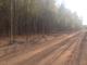 Продаётся участок в березовой рощи 11 соток, возле деревни Аксёно-Бутырки.