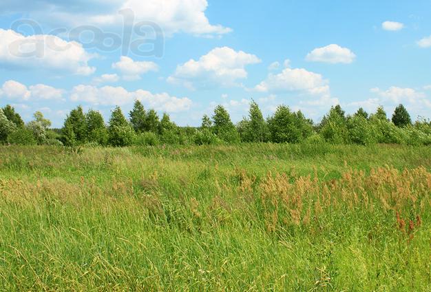 Предлагаю к продаже участок 7 соток
