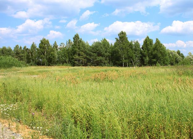 Продам участок 6 соток под дачное строительство с правом возведения жилого дома рядом с д. Заворово.