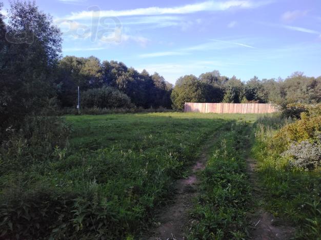 Участок 31 сотка в д. Малое Страшего, Талдомского р-на