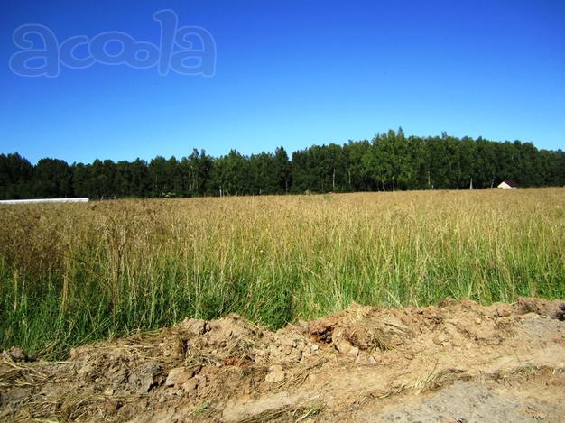 Земельные участки от 8 соток в Дачном поселке, в районе дер. Растовцы, Талдомского района.