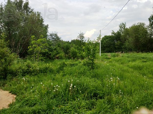 Земельный участок 15 соток в д. Матвеево, Дмитровского р-на