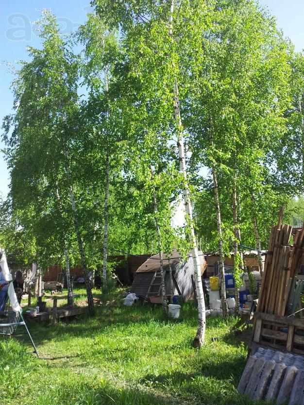 Продам участок: посёлок Зелёная Слобода