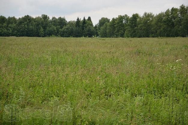 Участок для ИЖС 34,5га в 25км от МКАД Новорязанское ш., коммуникации