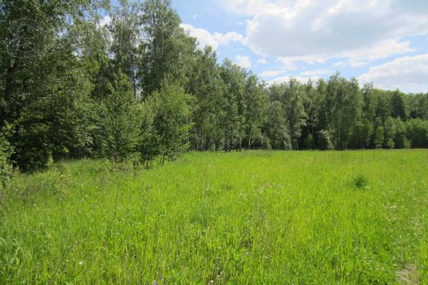 Лесной Остров, Гридюкино, 15 соток 900 000 руб
