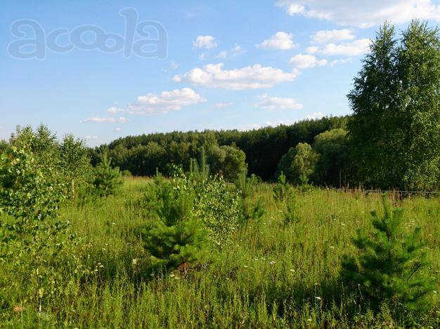 Участок 11 соток в поселке Мечта.