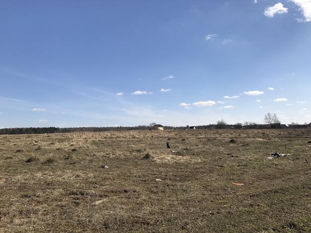 Участок 6 соток в дачном поселке Заречье.