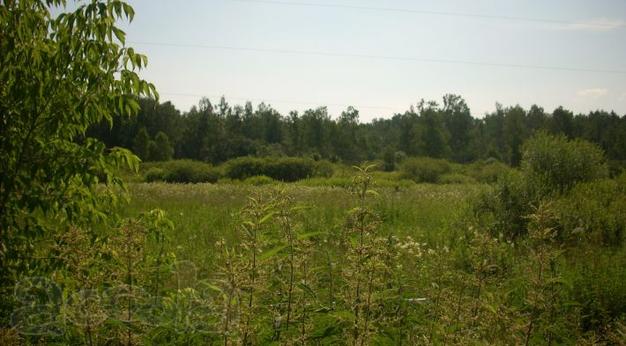 Земельный участок. Раменский городской округ, с. Константиново