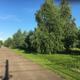 Продажа от собственника земельного участка по Ильинскому шоссе площадью 30 соток по ИЖС.