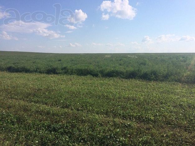 Продаю участок в пос. Аргуново 1