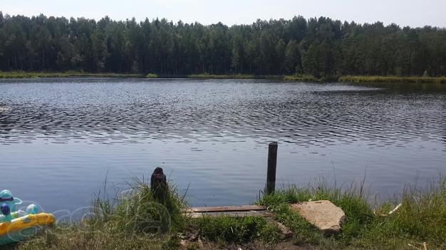 Участок в пос. Третьяково