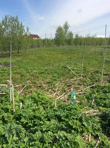 Земельный участок от собственника г. Клин.