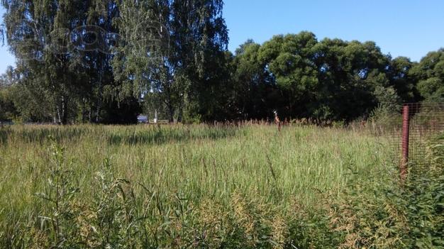 Продам участок ИЖС в курортной зоне Ногинского района