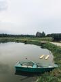 Живописный дачный участок в 97 км от МКАД