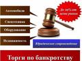 Помощь в приобретении имущества на торгах