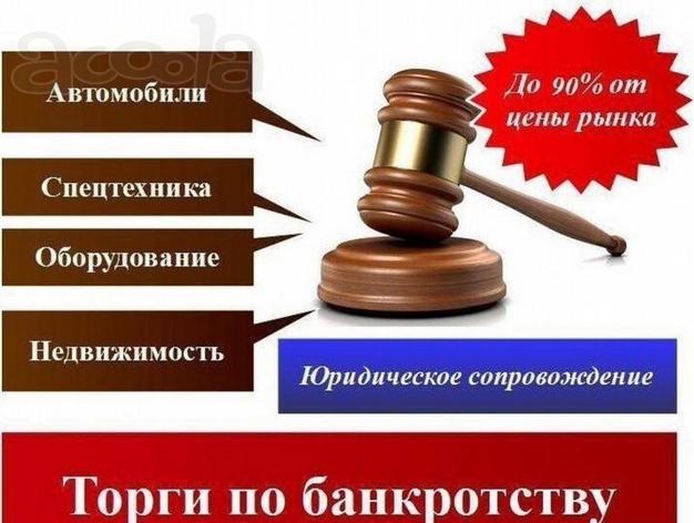 Помощь в приобретении имущества на торгах