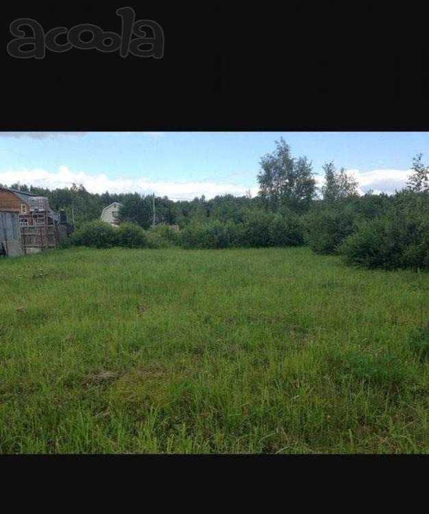 Продаю садовый участок в Московской обл.